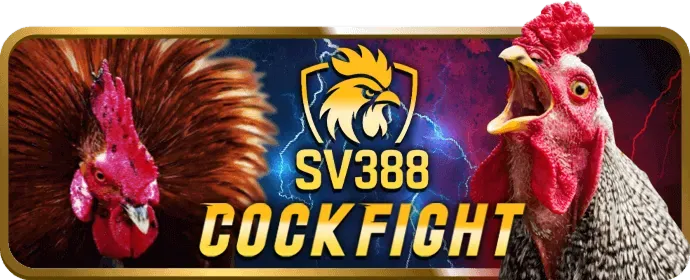 Cơ hội thắng lớn với vb777 code
